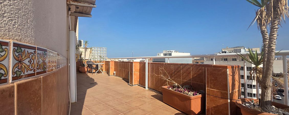 Centro, Torrevieja